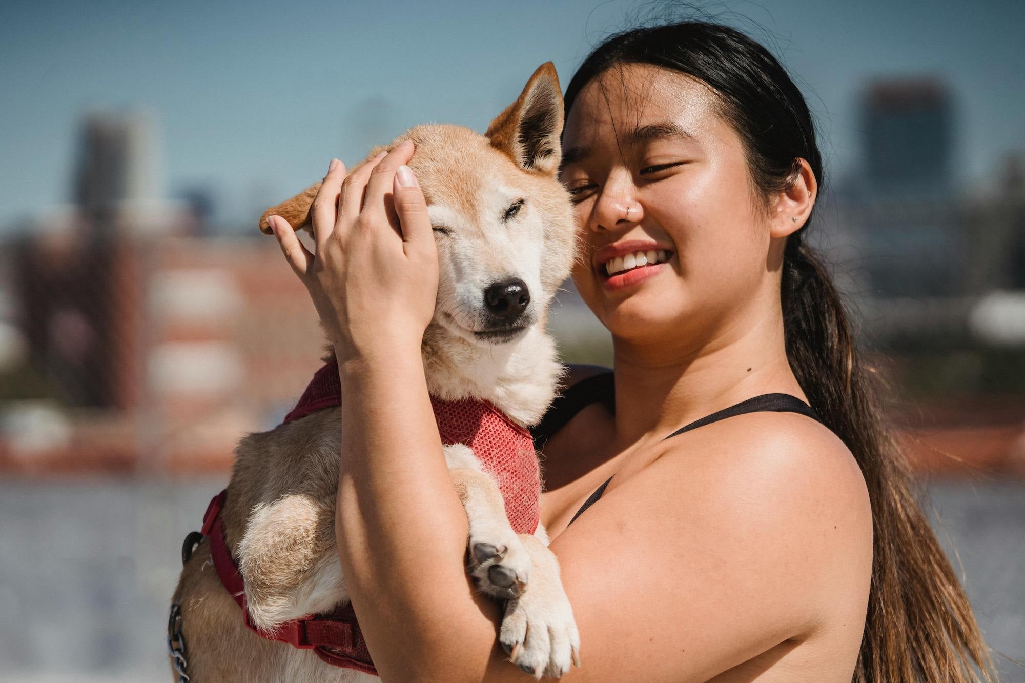 The APBAR™ Guide: Measuring Your Dog’s Wellness with PawPa’s Regen Dog Chews
