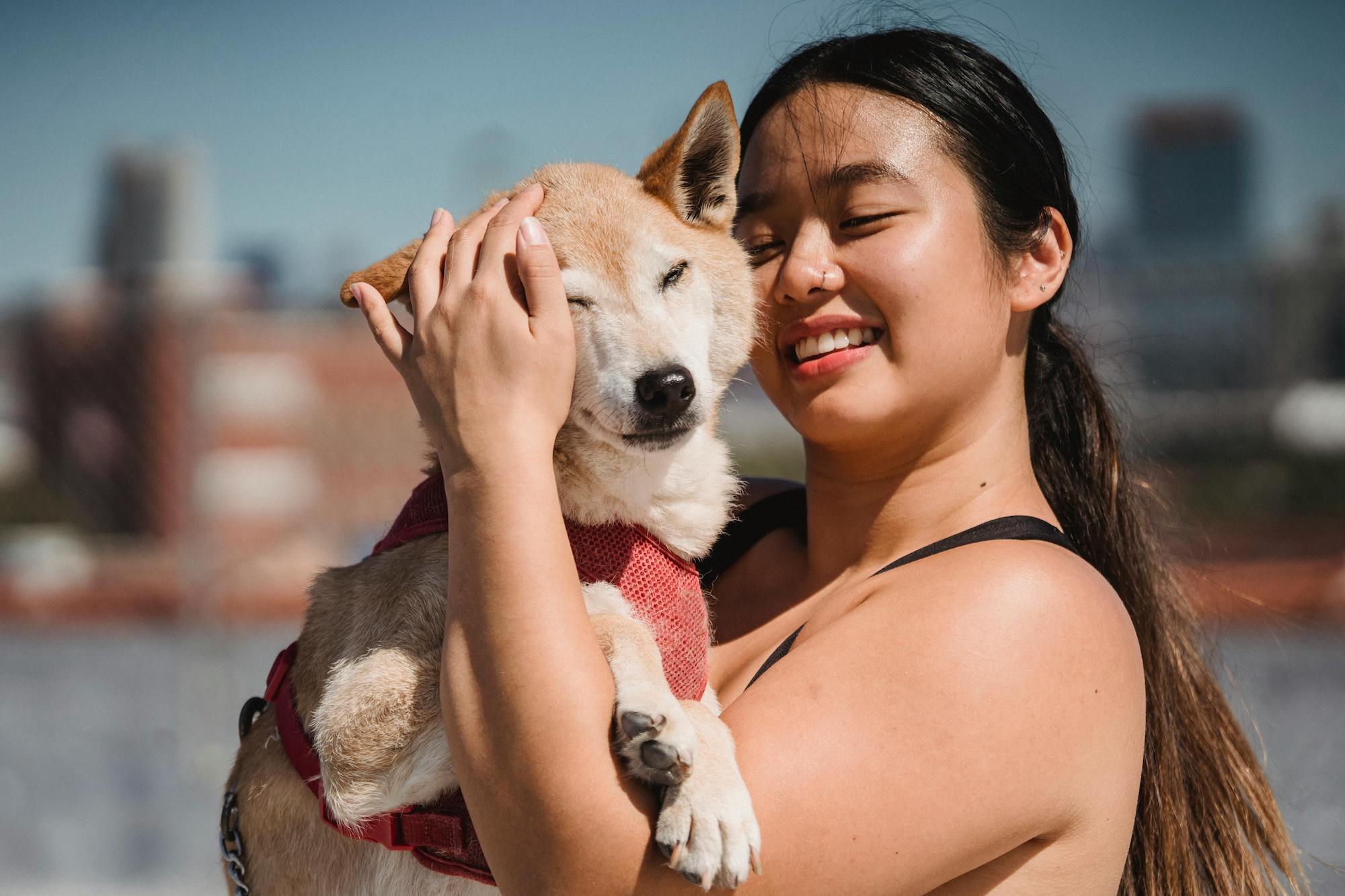 The APBAR™ Guide: Measuring Your Dog’s Wellness with PawPa’s Regen Dog Chews