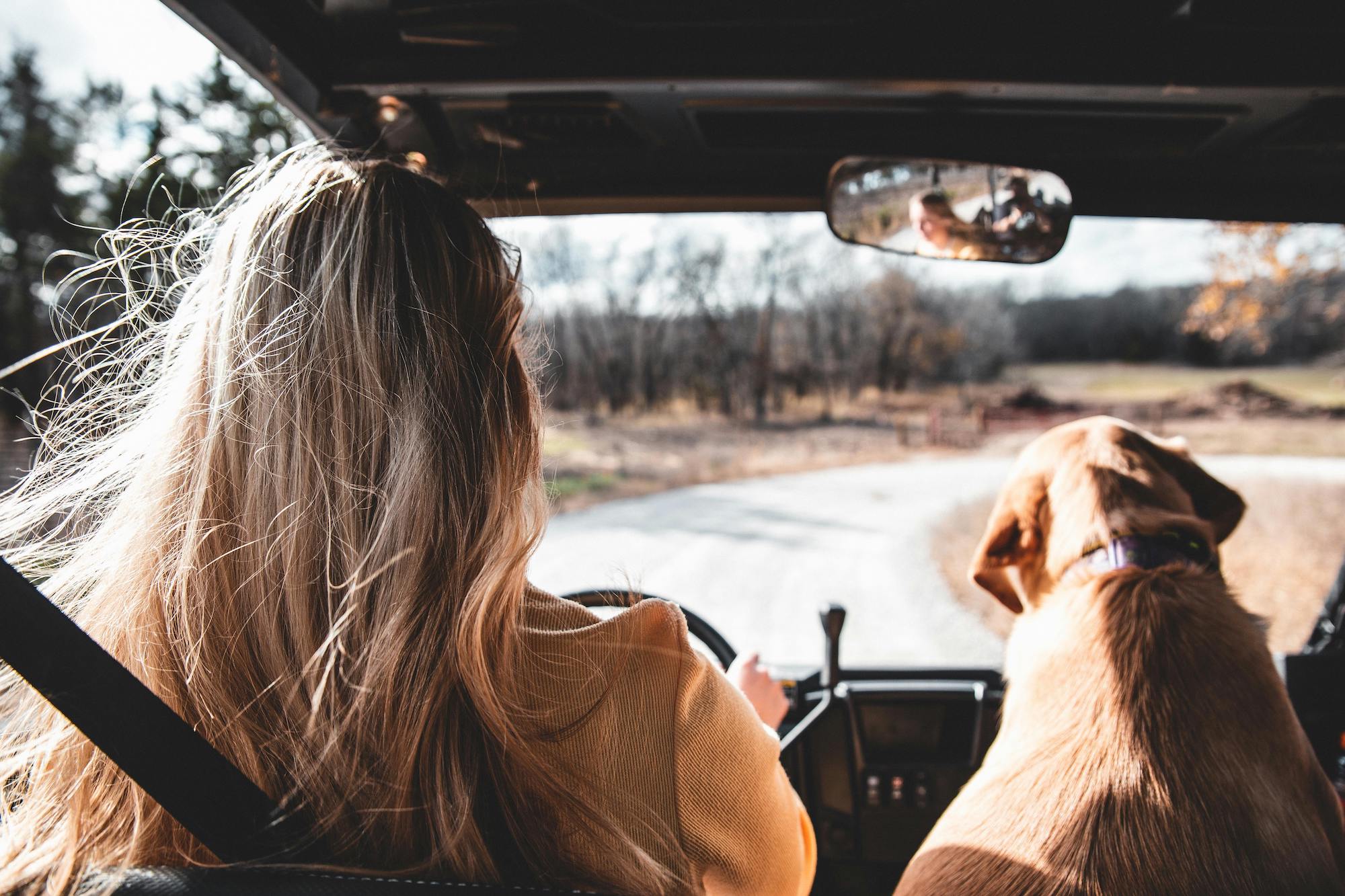 5 Essential Tips to Enhance Your Senior Dog’s Quality of Life