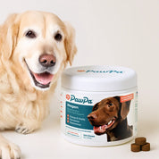 Regen – Regenerative Stem Cell Activation